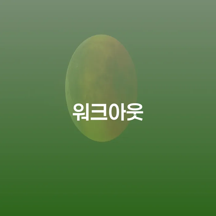 개인회생변호사 정직하고 개인회생 처리방법 진행할 때 꼭 알아야 할