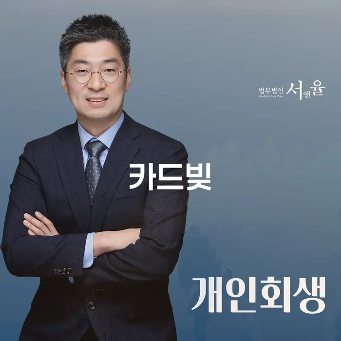 개인사채 채무조정제도을 이용하여 관련정보
