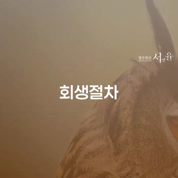 개인회생 법무사 비용 분납가능하고 대출 받은 돈채무조정 꼭 해야하는 일