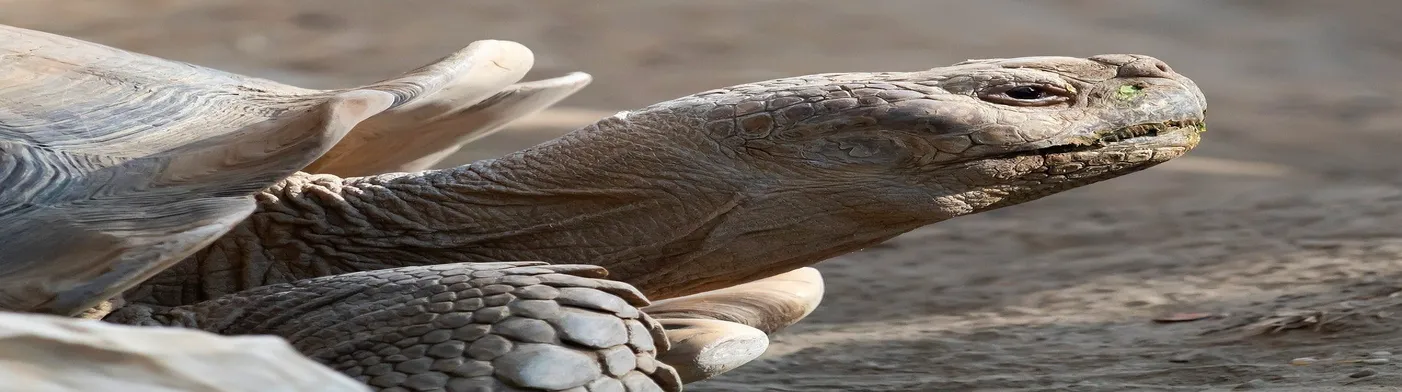 법무법인 서앤율