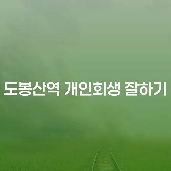 도봉산역 개인회생 잘하기