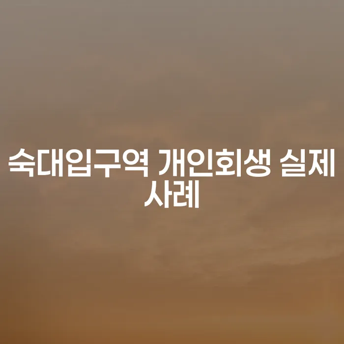 숙대입구역 개인회생 실제사례