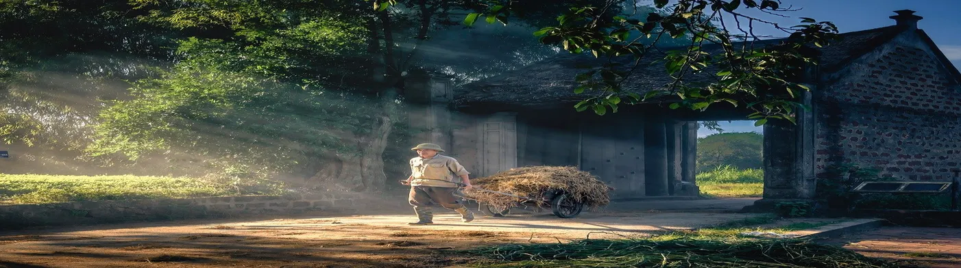 법무법인 서앤율