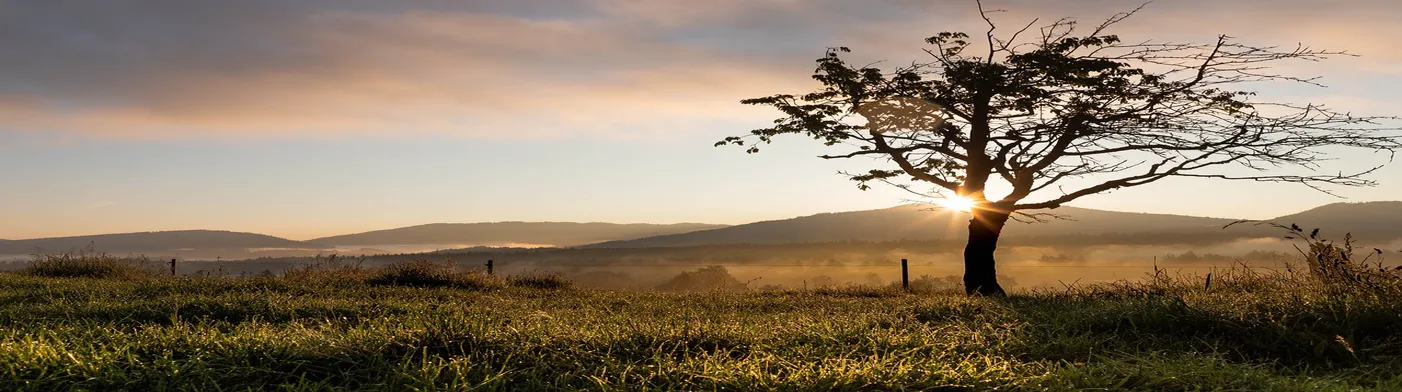 법무법인 서앤율