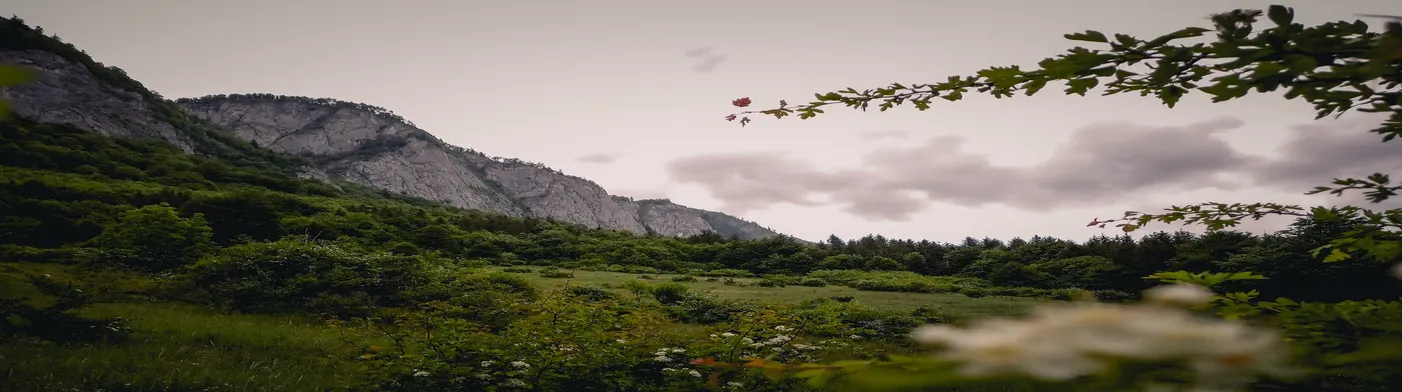 법무법인 서앤율