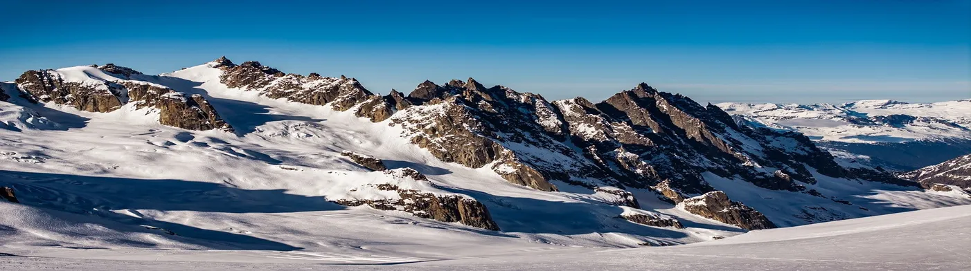 법무법인 서앤율