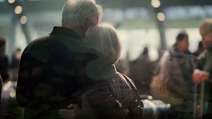 채무 해결 방법