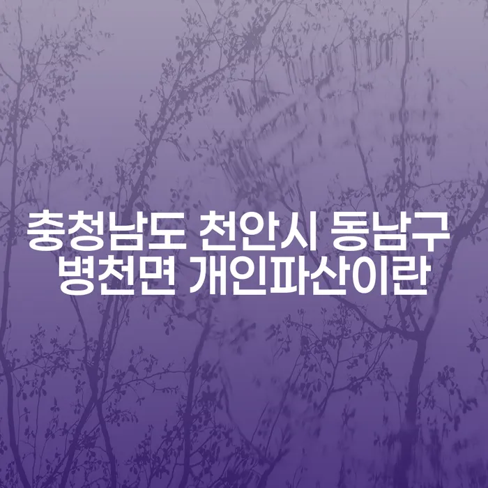 충청남도 천안시 동남구 병천면에서 개인파산이란 무엇인가요?