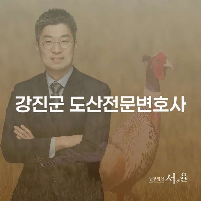 강진군 도산전문변호사와 장한별변호사: 채무 해결의 길