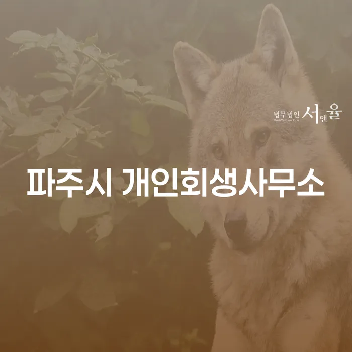 왜 파주시 개인회생사무소를 통해 개인회생을 시작해야 할까요?