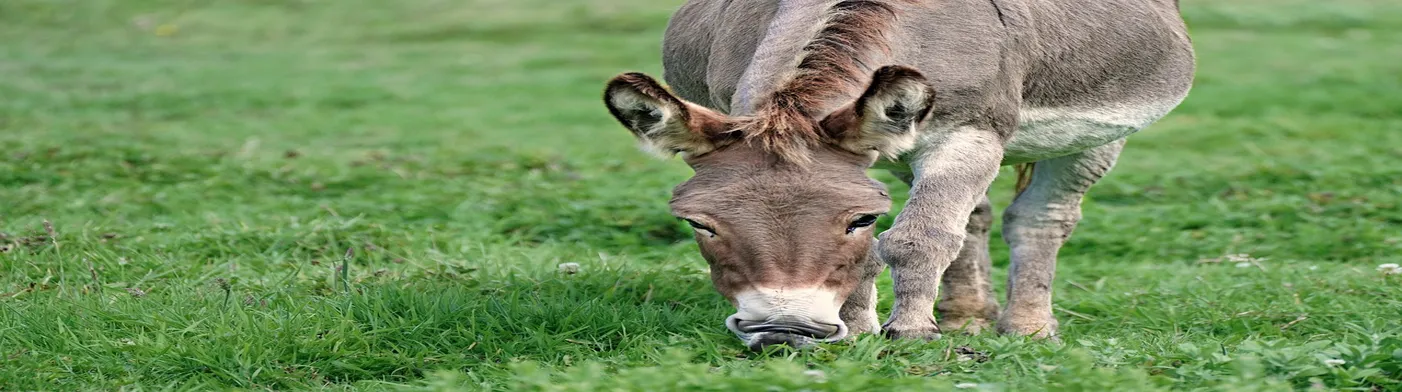 법무법인 서앤율